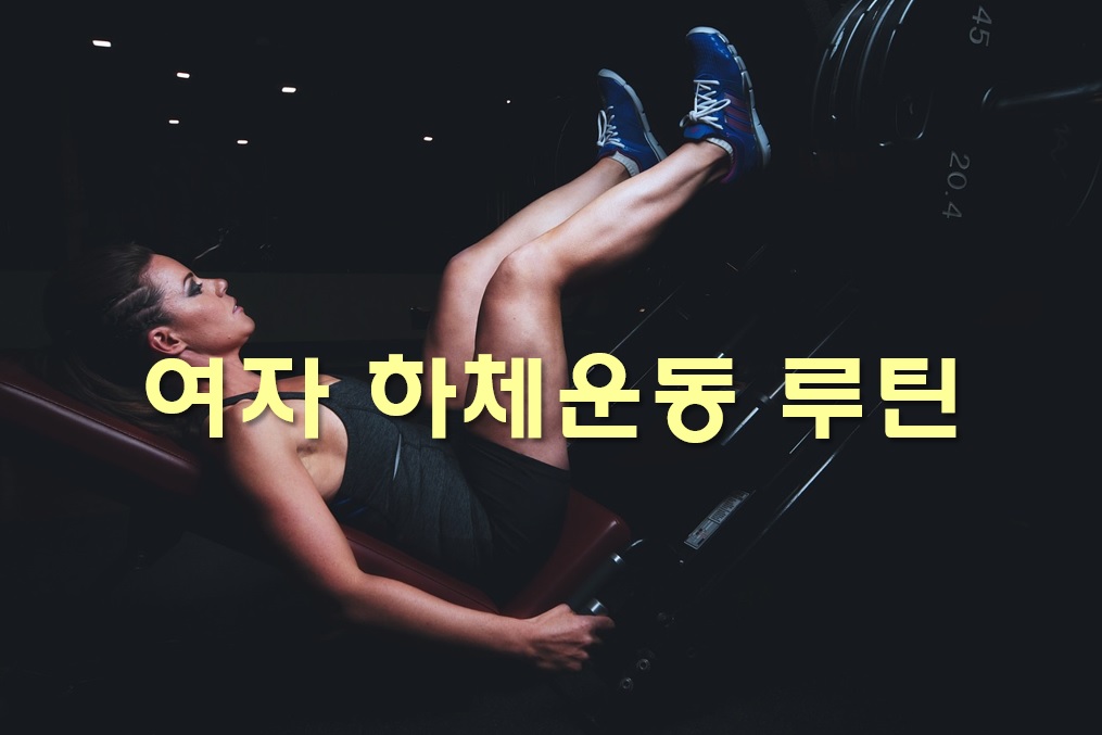  여자 하체운동 루틴과 맨몸 하체운동 종류