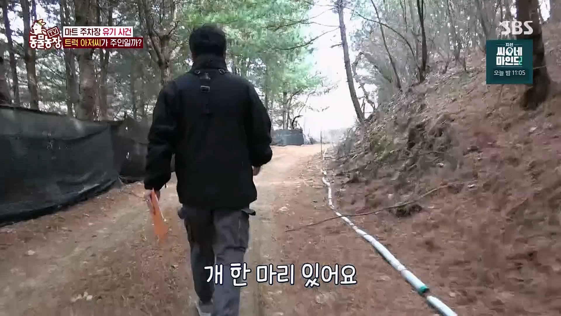 TV 동물농장.E1115.230409p.H264-F1RST.mp4_20230409_173038.668.jpg