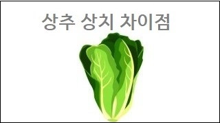 상추 상치 차이점