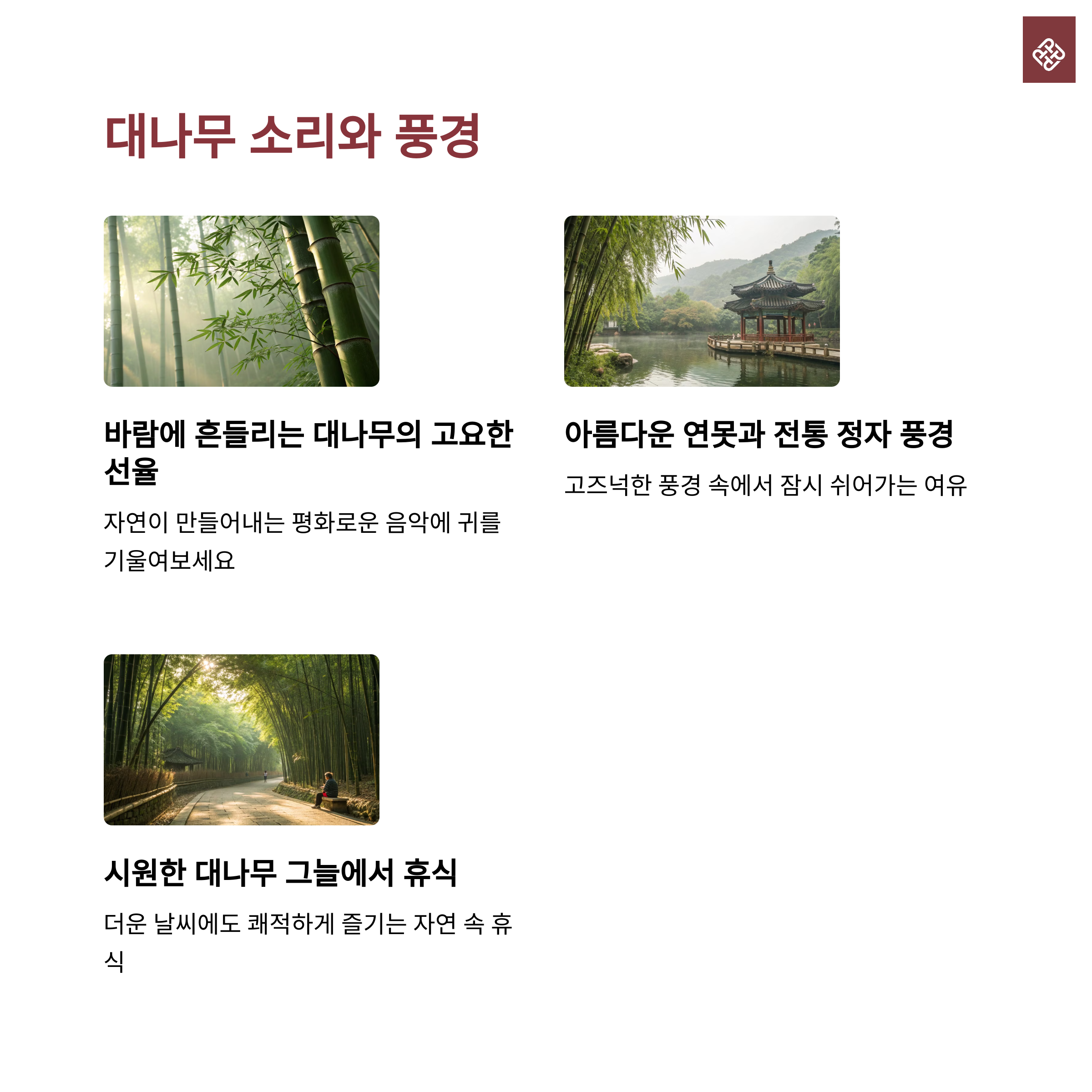 담양 죽녹원 솔직 후기