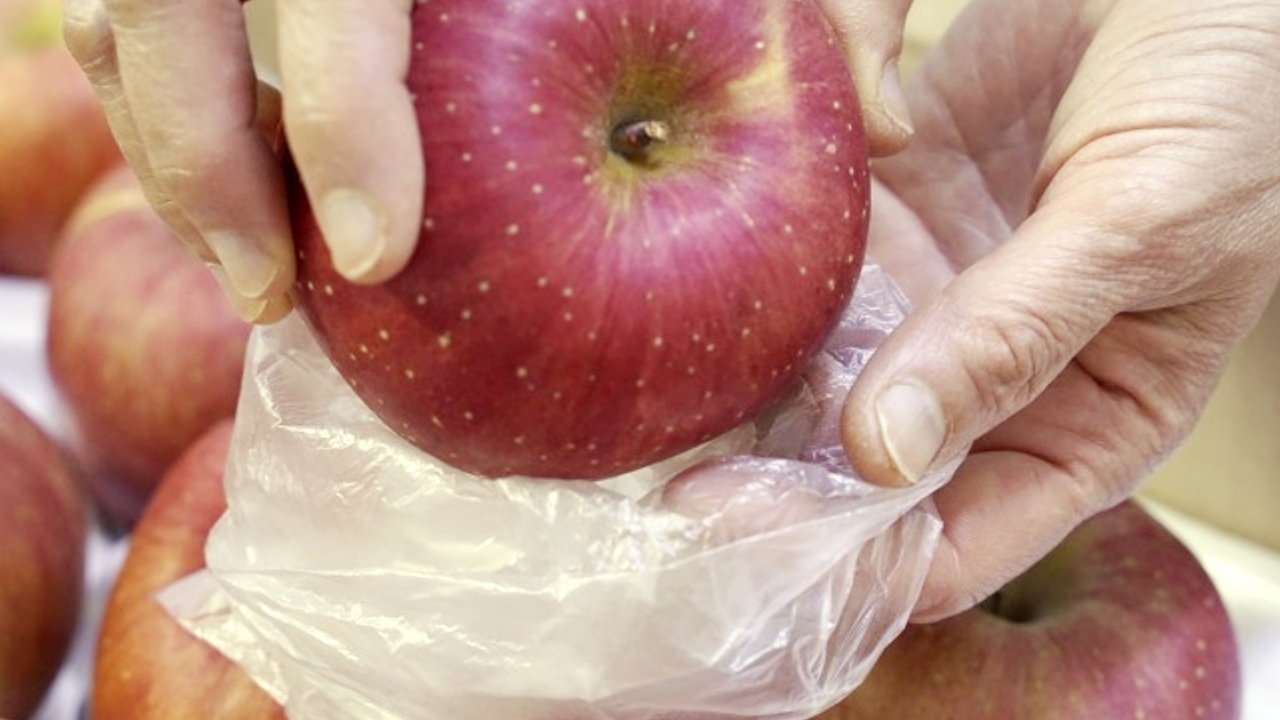 사과를 비닐봉지에 넣어 보관해야 하는 이유