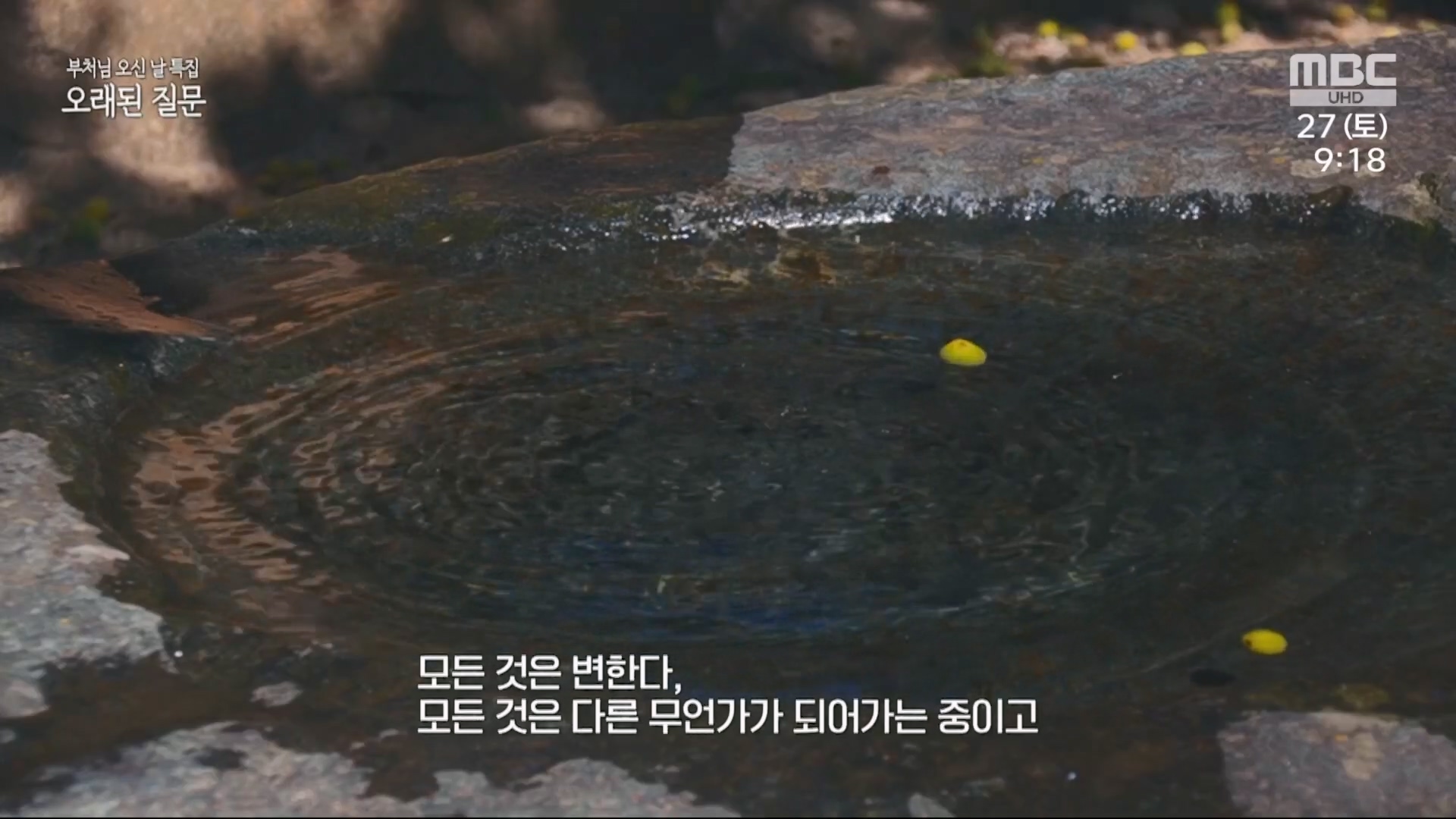 부처님 오신 날 특집 오래된 질문.230527p.H264-F1RST.mp4_20230527_173214.732.jpg
