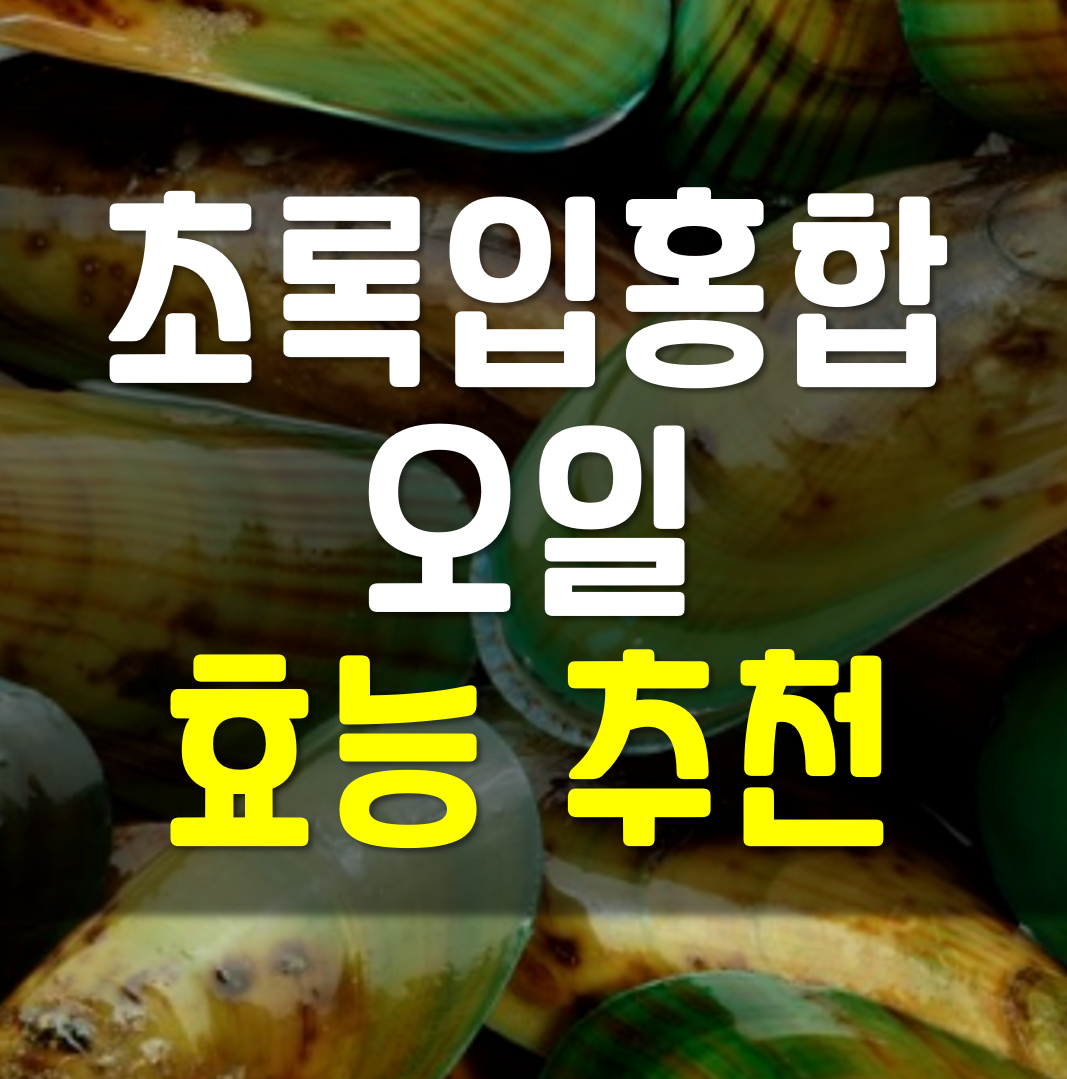  초록입홍합 오일 효능 추천