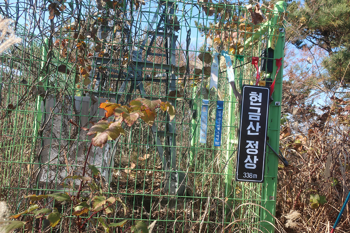 미륵산 이미지