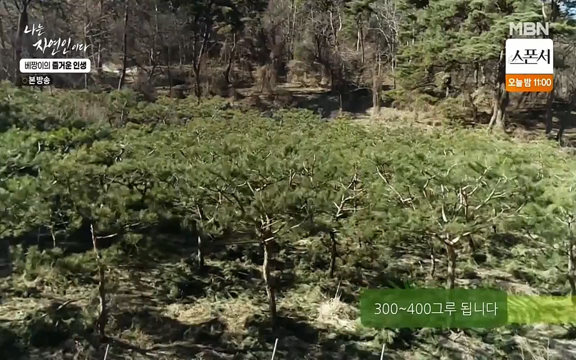 나는 자연인이다.E495.220331p-NEXT.mp4_20220331_174353.000.jpg