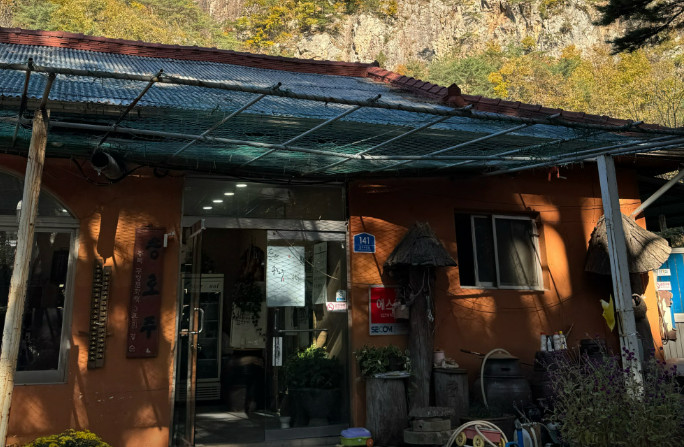 백반기행 보은 자연산버섯전골