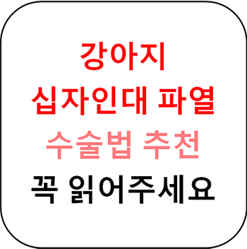  강아지 십자인대 파열 개요, 치료법 종류와 선택 - 반드시 정독하세요