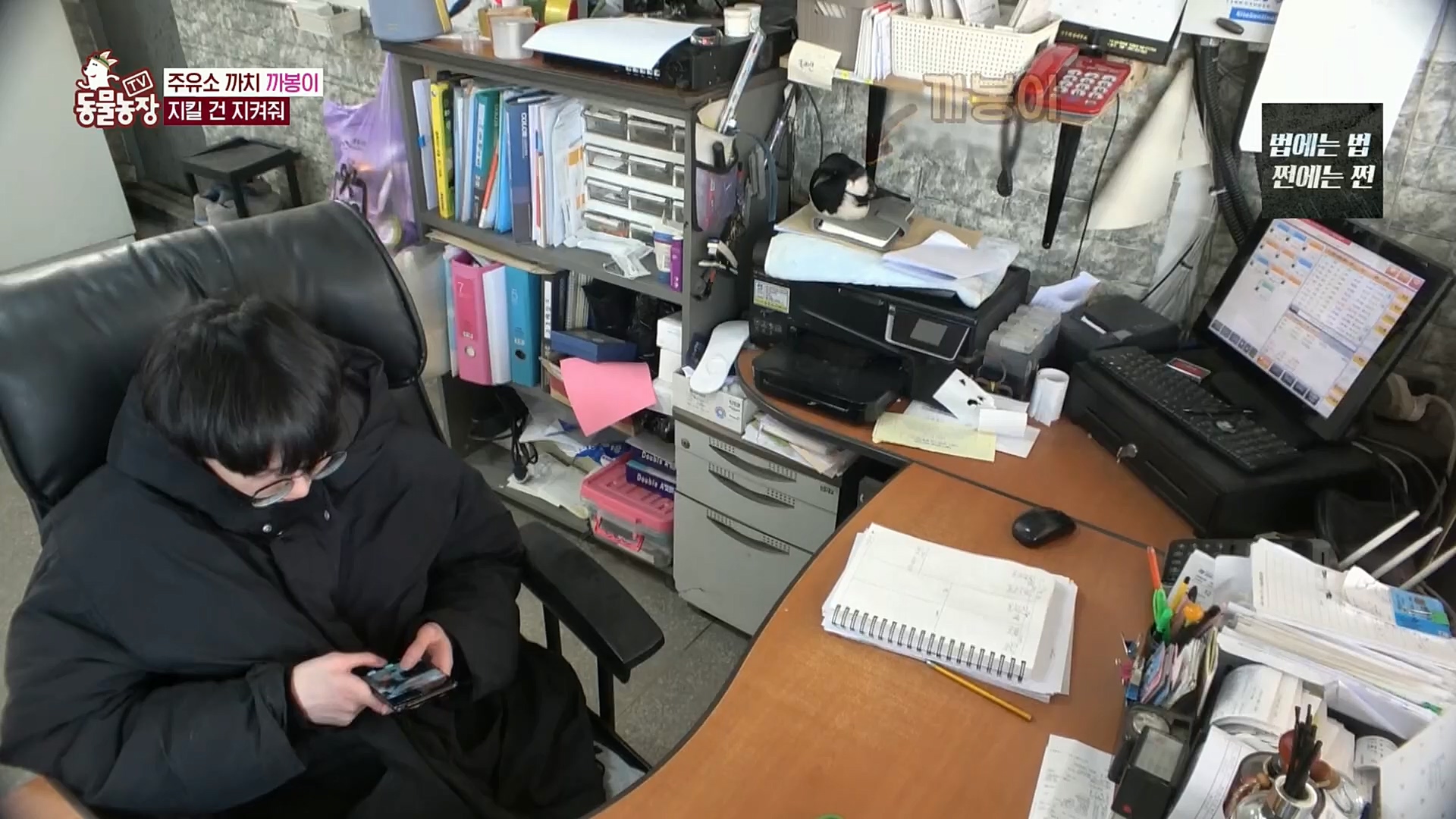 TV 동물농장.E1102.230101p.H264-F1RST.mp4_20230101_182835.869.jpg