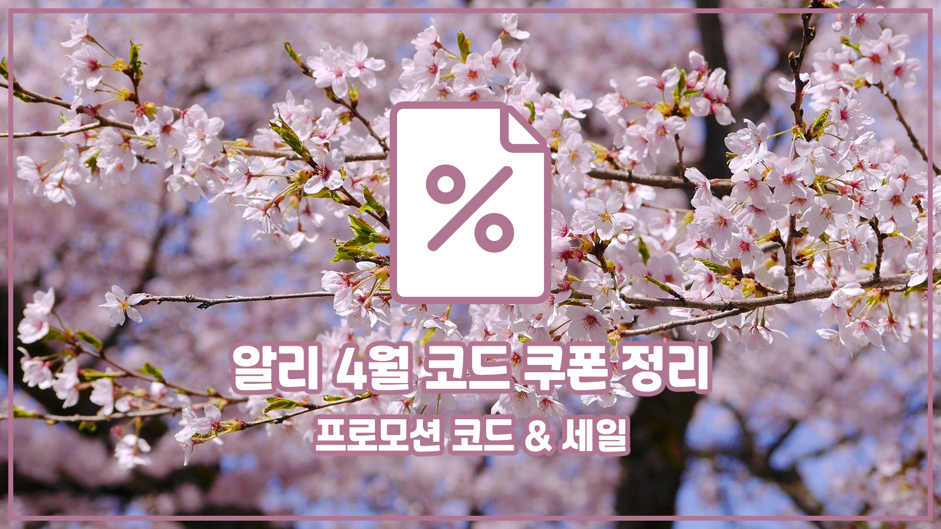 알리 에이프릴 코드