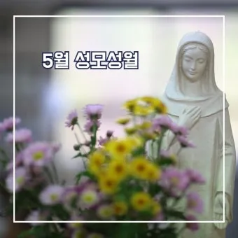 5월 성모성월과 함께하는 성인들의 발자취_21