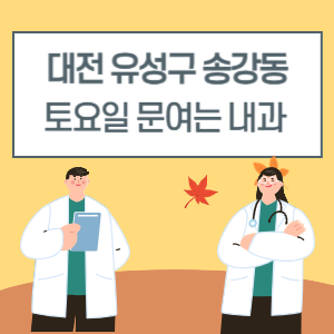 대전 유성구 송강동 토요일 내과 진료 병원 리스트