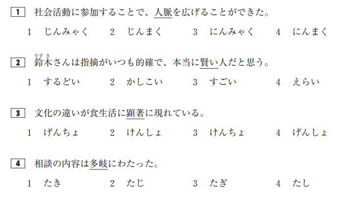일본어 시험 JLPT N1 시험의 문법 보기 문제 사진