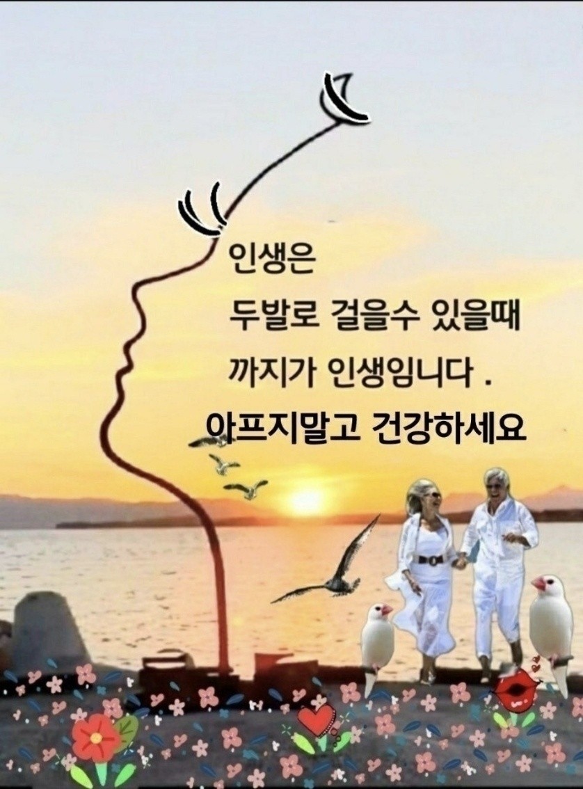  오늘의 좋은글 230번째 해 보지도 않고 안 될 것이라고 단정 지으며 도전 하지도 않는것은 핑계입니다