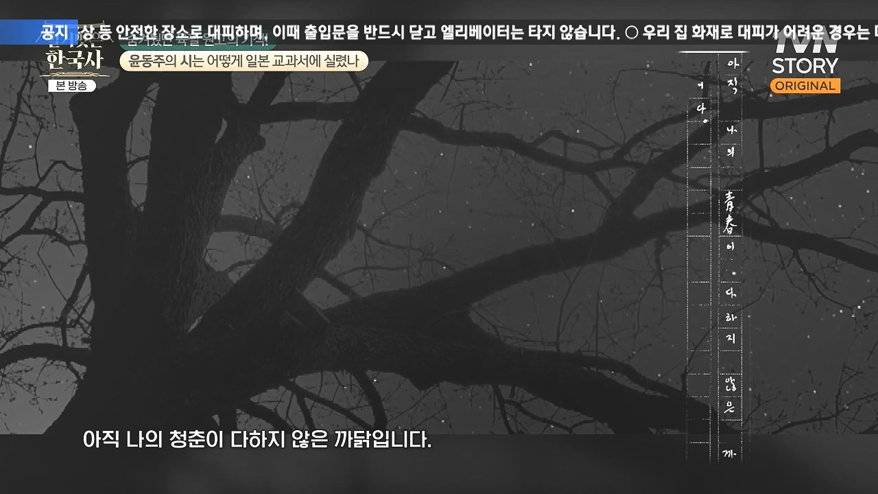 벌거벗은 한국사.E95.240215p-NEXT.mp4_20240801_210533.838.jpg