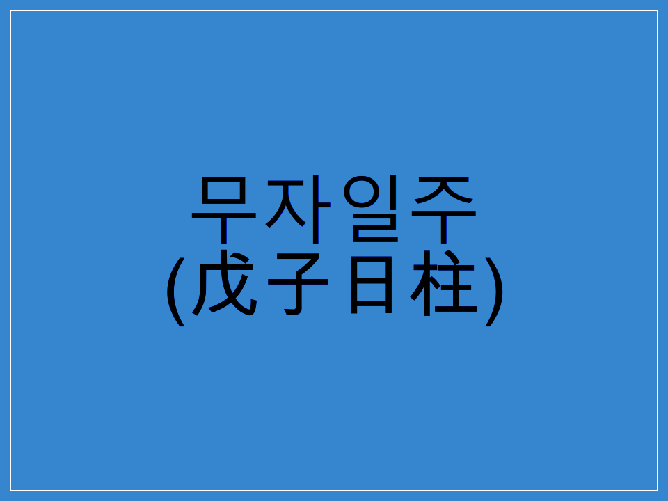  무자일주(戊子日柱) 일주론 요약