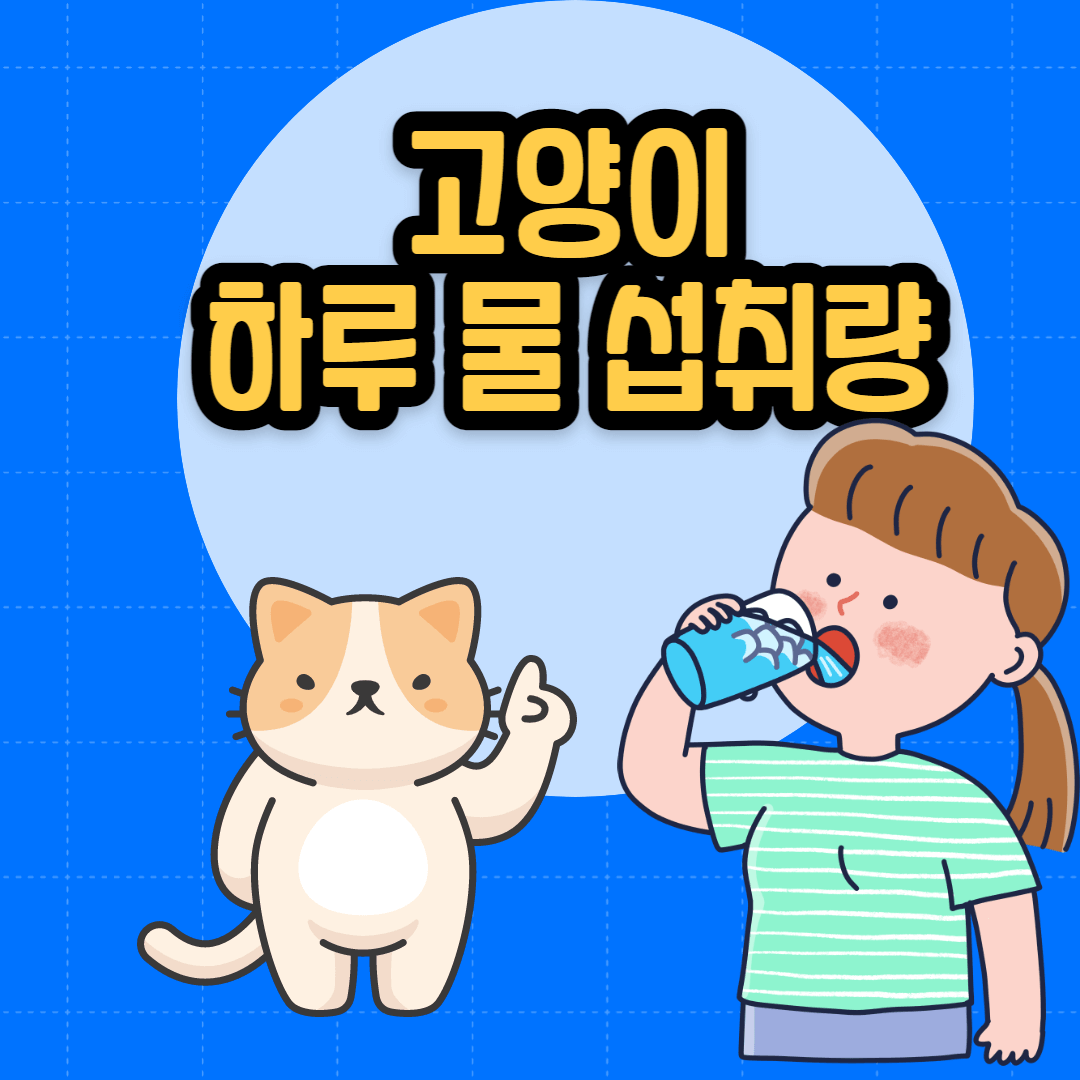 고양이-하루-평균-물-권장량