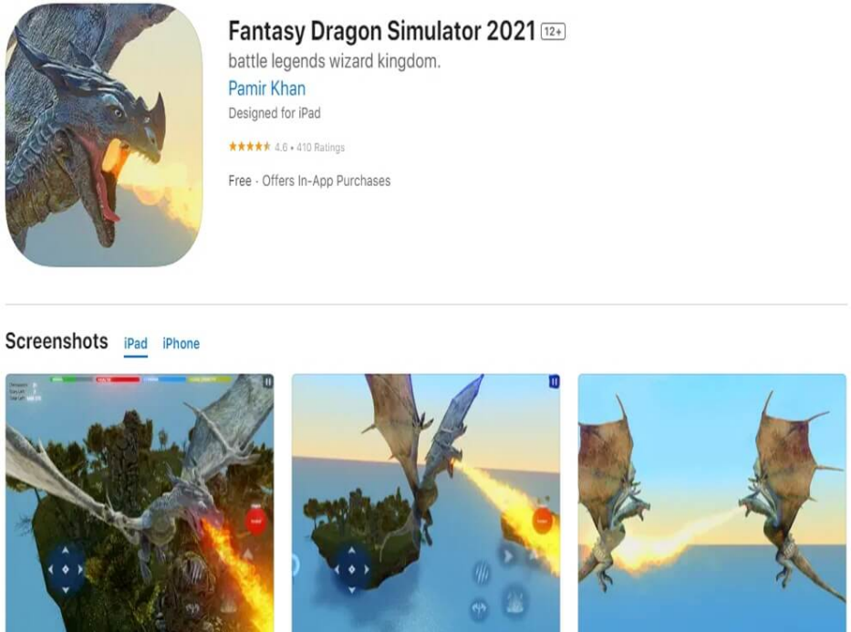 Fantasy Dragon Simulator 2021