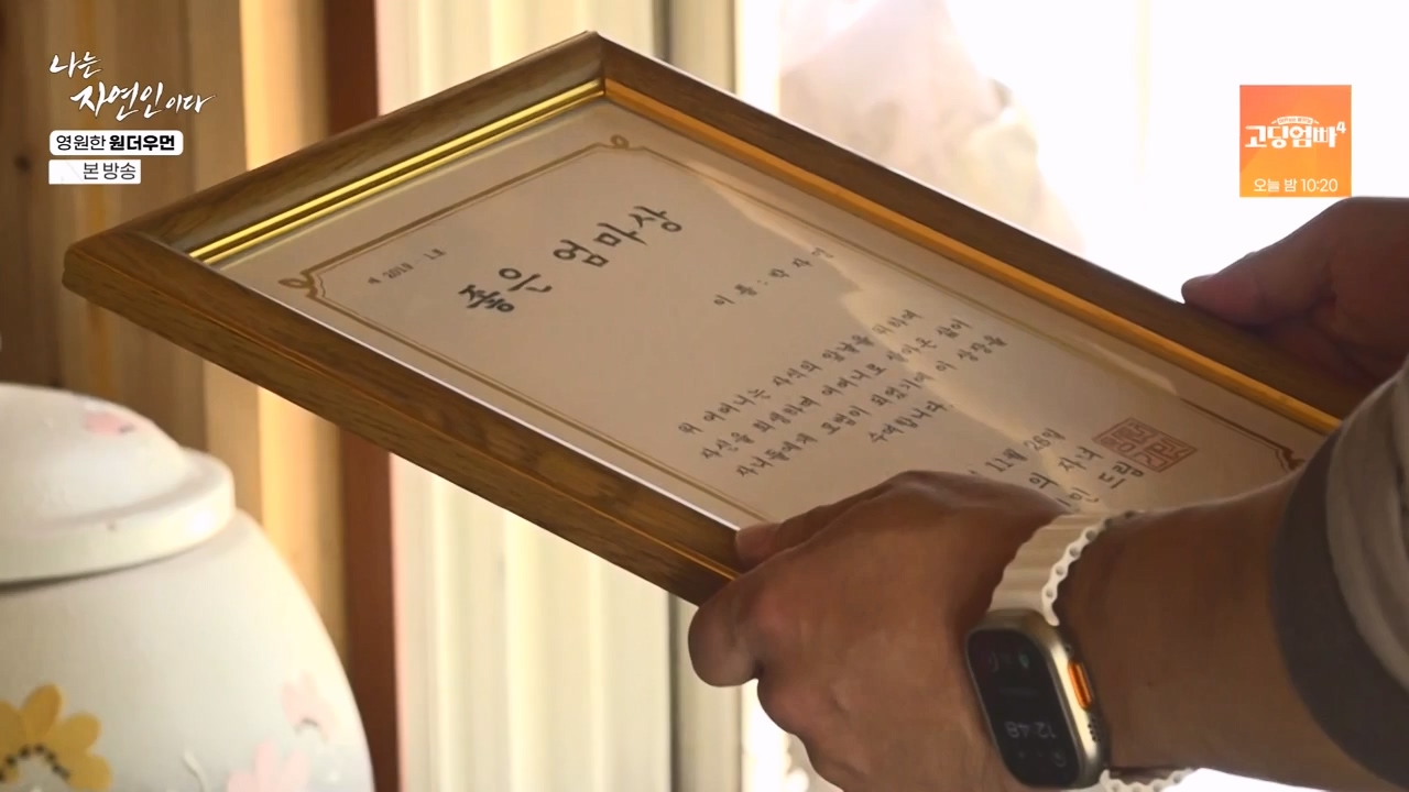 나는 자연인이다.E606.240523p-NEXT.mp4_20240523_195548.745.jpg