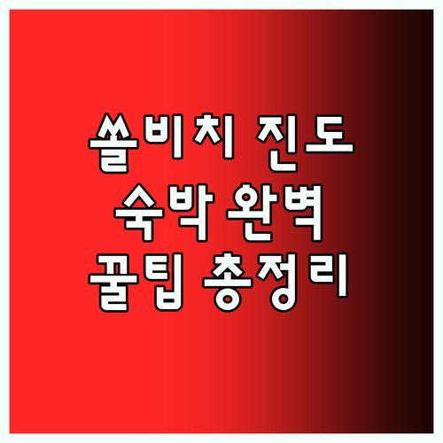 쏠비치 진도 완벽 분석! 숙박부터 찐
