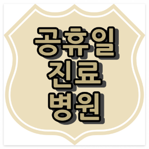 산부인과 일요일,공휴일 진료 병원 : 인천광역시