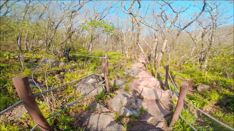 한국 명산 충북 단양 소백산 등산 mountain hiking