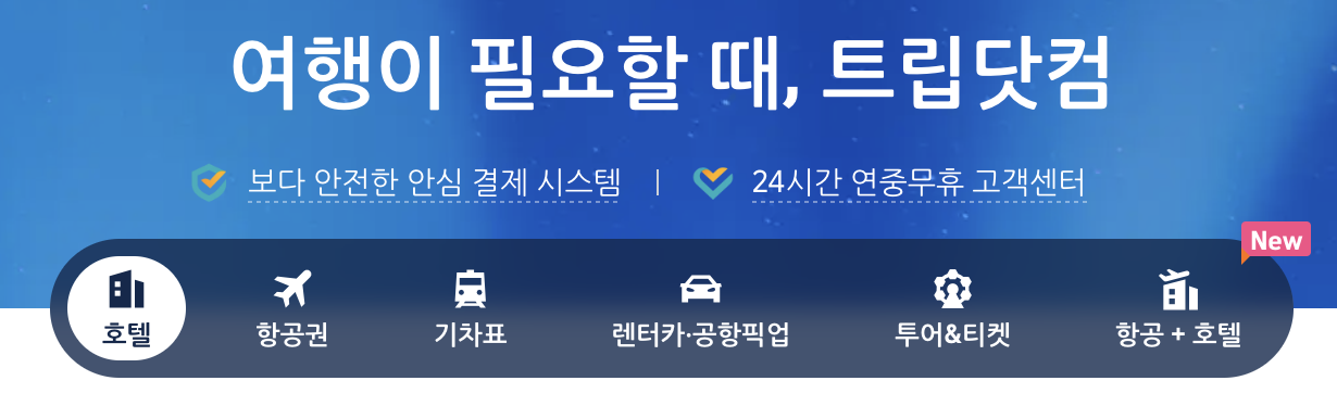 항공권 가격비교 사이트 TOP 5 최저가 항공권 찾기(안보면 손해)
