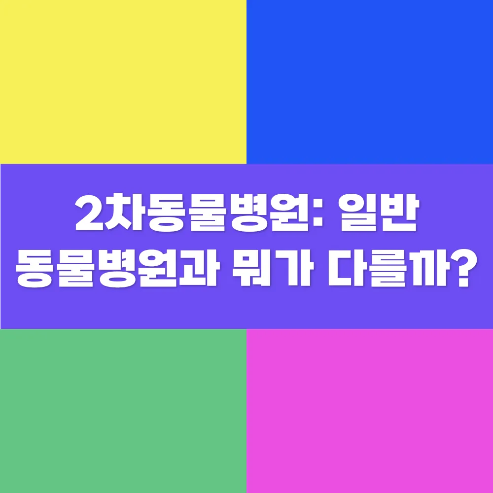 이미지_2