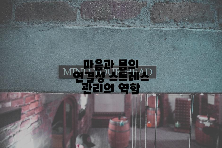 마음과 몸의 연결성 스트레스 관리의 역할
