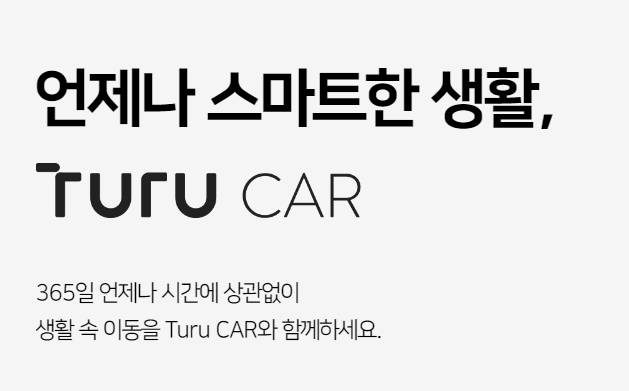  투루카 가격 및 사용방법, 장단점 알아보자 (후기 포함)