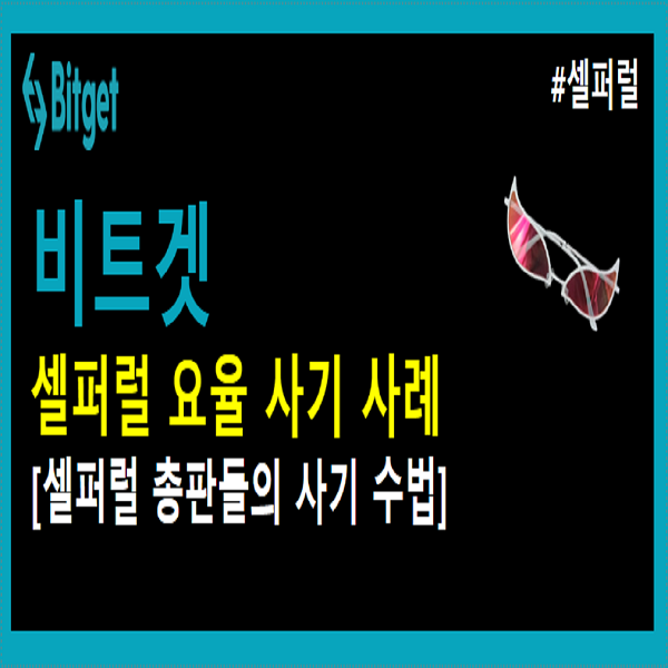  비트겟 셀퍼럴 사기꾼 감별 방법!