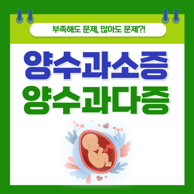  [양수과소증 vs 양수과다증] 부족해도 문제, 많아도 문제인 양수?