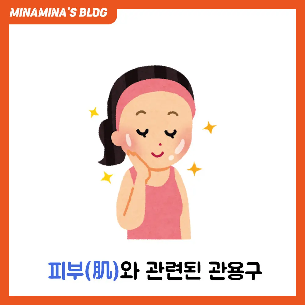 일본어 피부 관용구 모음