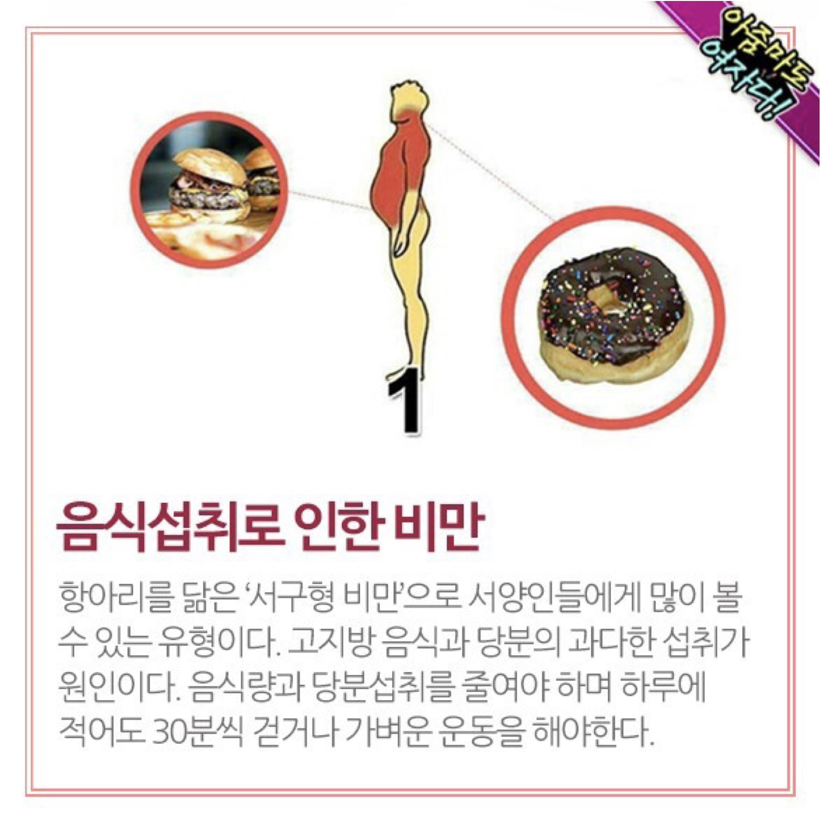  살찌는 유형