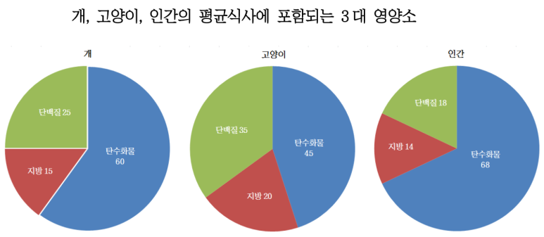  안전한 펫푸드, 사람에게 좋은 음식이 반려동물에게 나쁜 음식