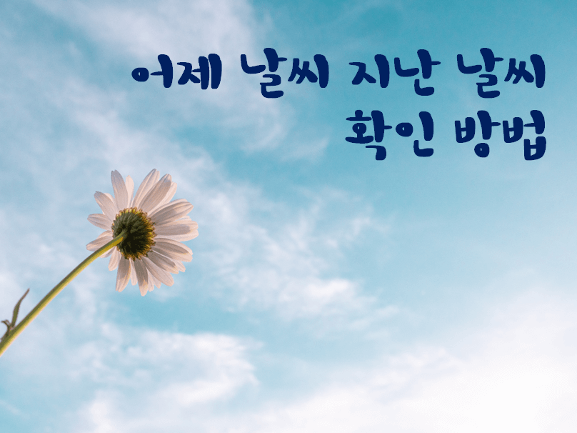 어제의 날씨 과거의 날씨를 확인하는 방법