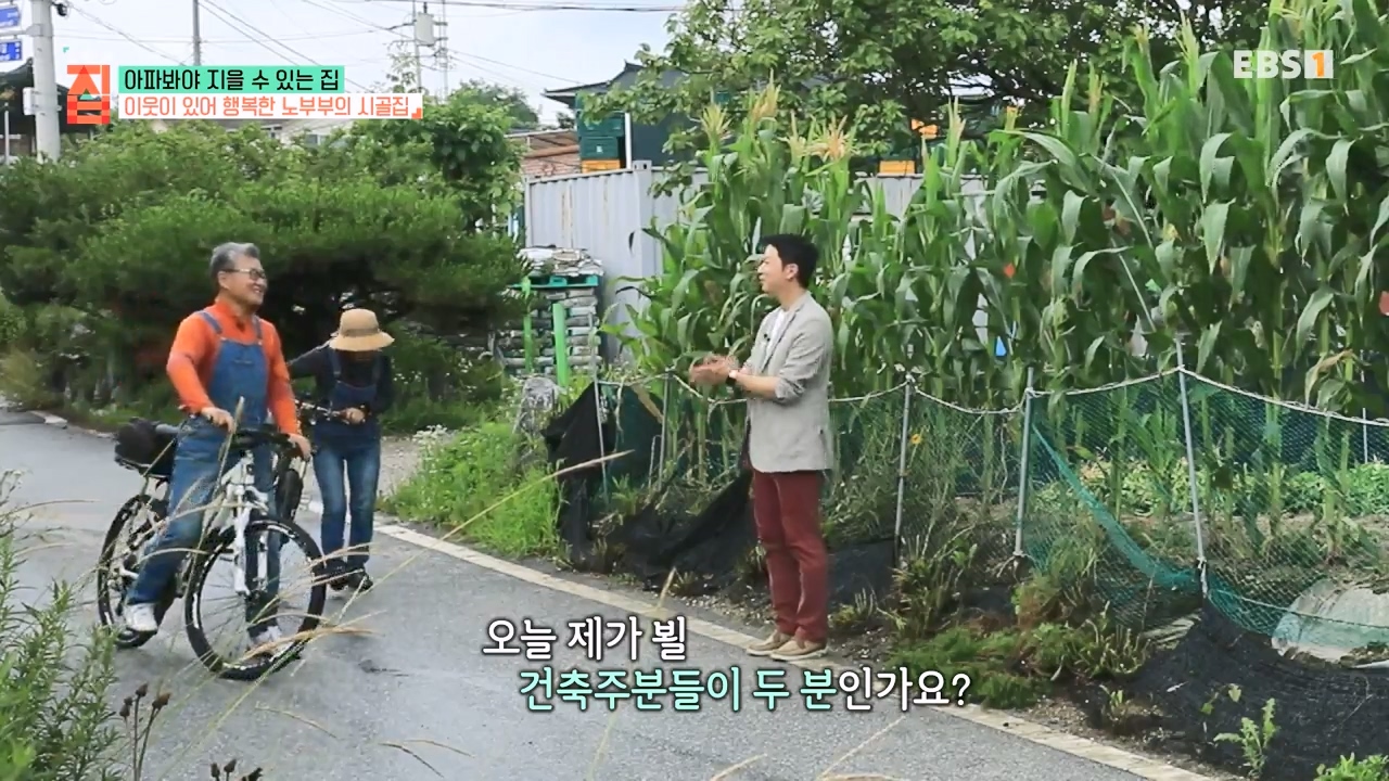 TV - 전 국민의 평생학교 EBS아파봐야 지을 수 있는 집.mp4_20230816_210418.077.jpg