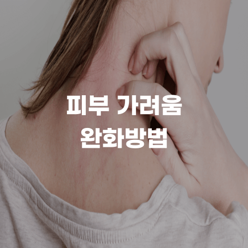  피부 가려움 완화방법