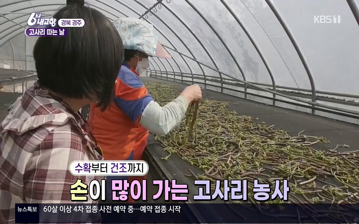 6시 내고향.E7518.220426p.H264-F1RST.mp4_20220504_190815.111.jpg