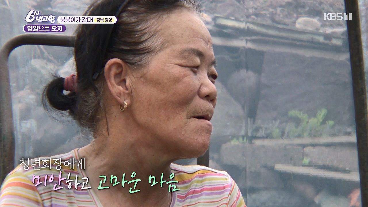 6시 내고향.E7878.230912p-NEXT.mp4_20230918_211136.308.jpg