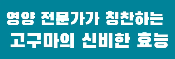 영양 전문가가 칭찬하는 고구마의 신비한 효능