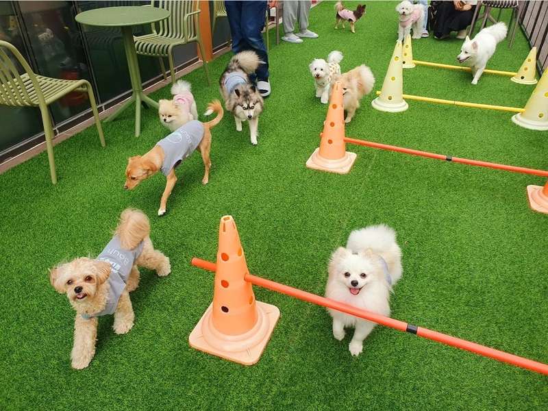 3.2 편안한 분위기와 서비스