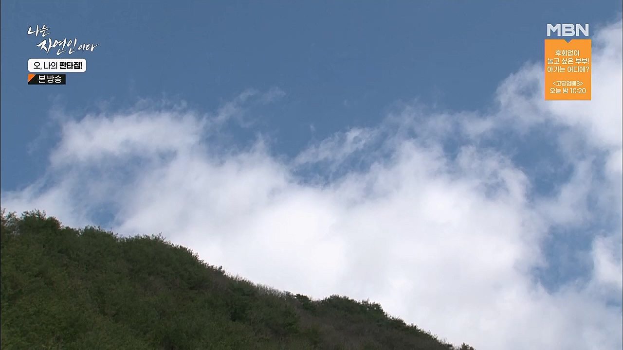 나는 자연인이다.E546.230323p.H264-F1RST.mp4_20230323_201548.919.jpg