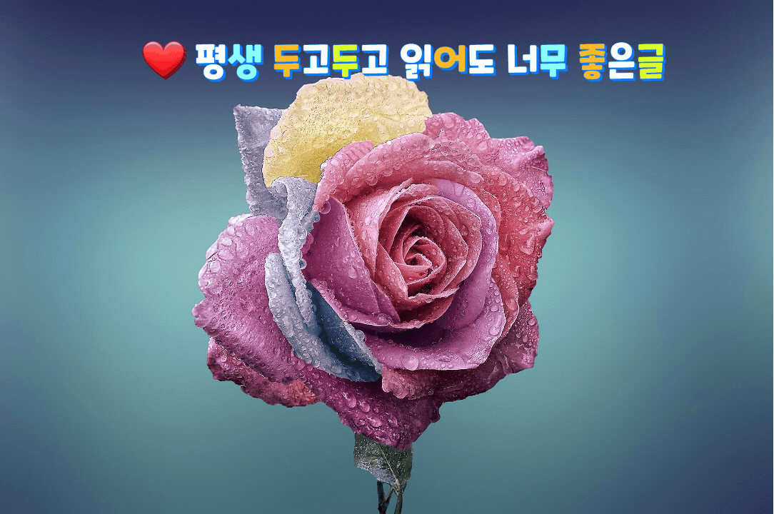  ️평생 두고두고 읽어도 너무 좋은글️