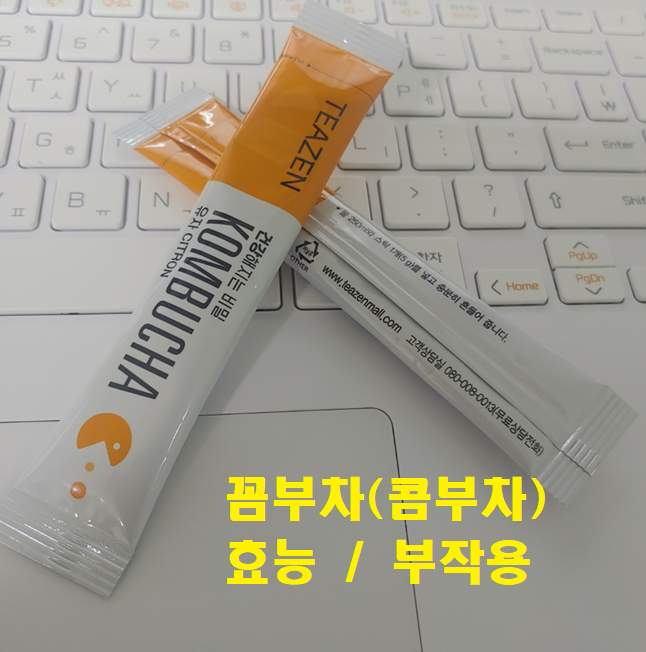 다이어트 보조제 콤부차(꼼부차) 효능, 부작용