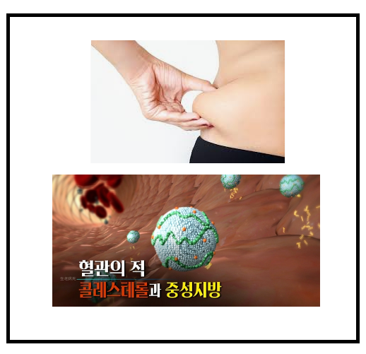  중성지방 낮추는 방법 및 음식