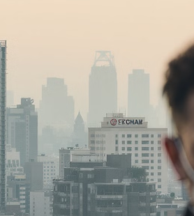 외부 환경 요인(미세먼지 등)