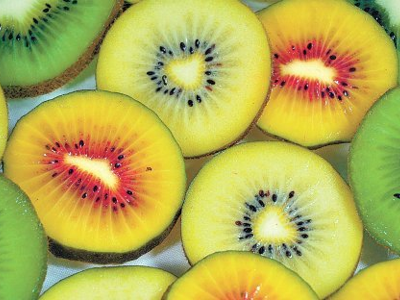 키위 효능 10가지 16