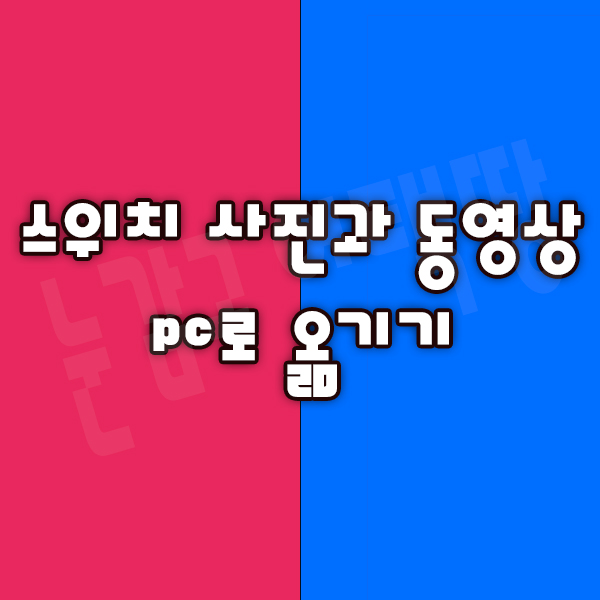  스위치에 있는 사진과 동영상 pc로 옮기기