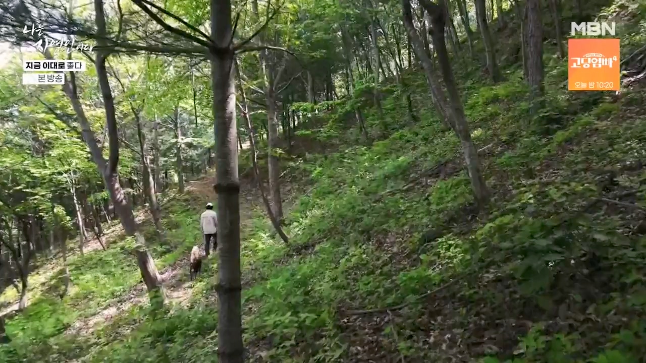 나는 자연인이다.E605.240516p-NEXT.mp4_20240516_194934.738.jpg
