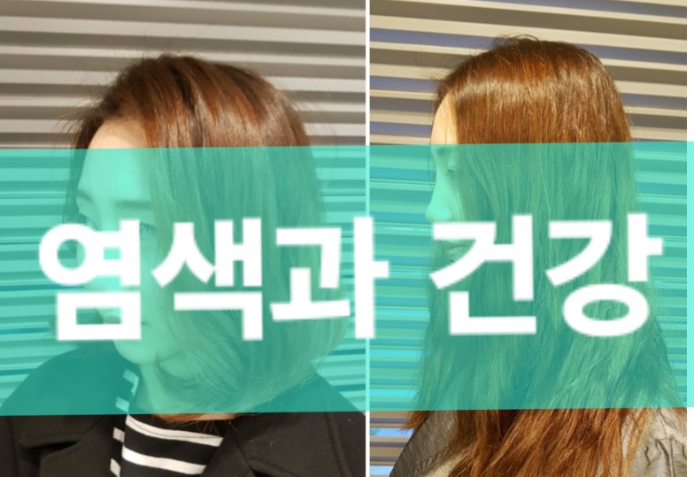 건강과아름다움 이미지